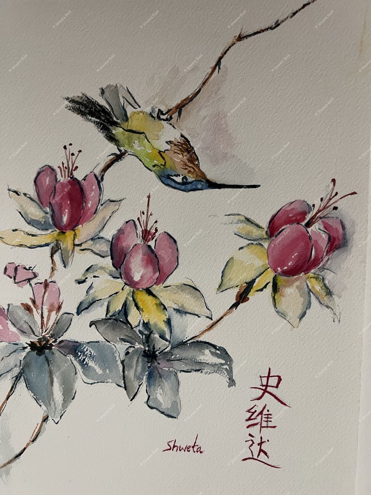 Hummingbird Among Blossoms