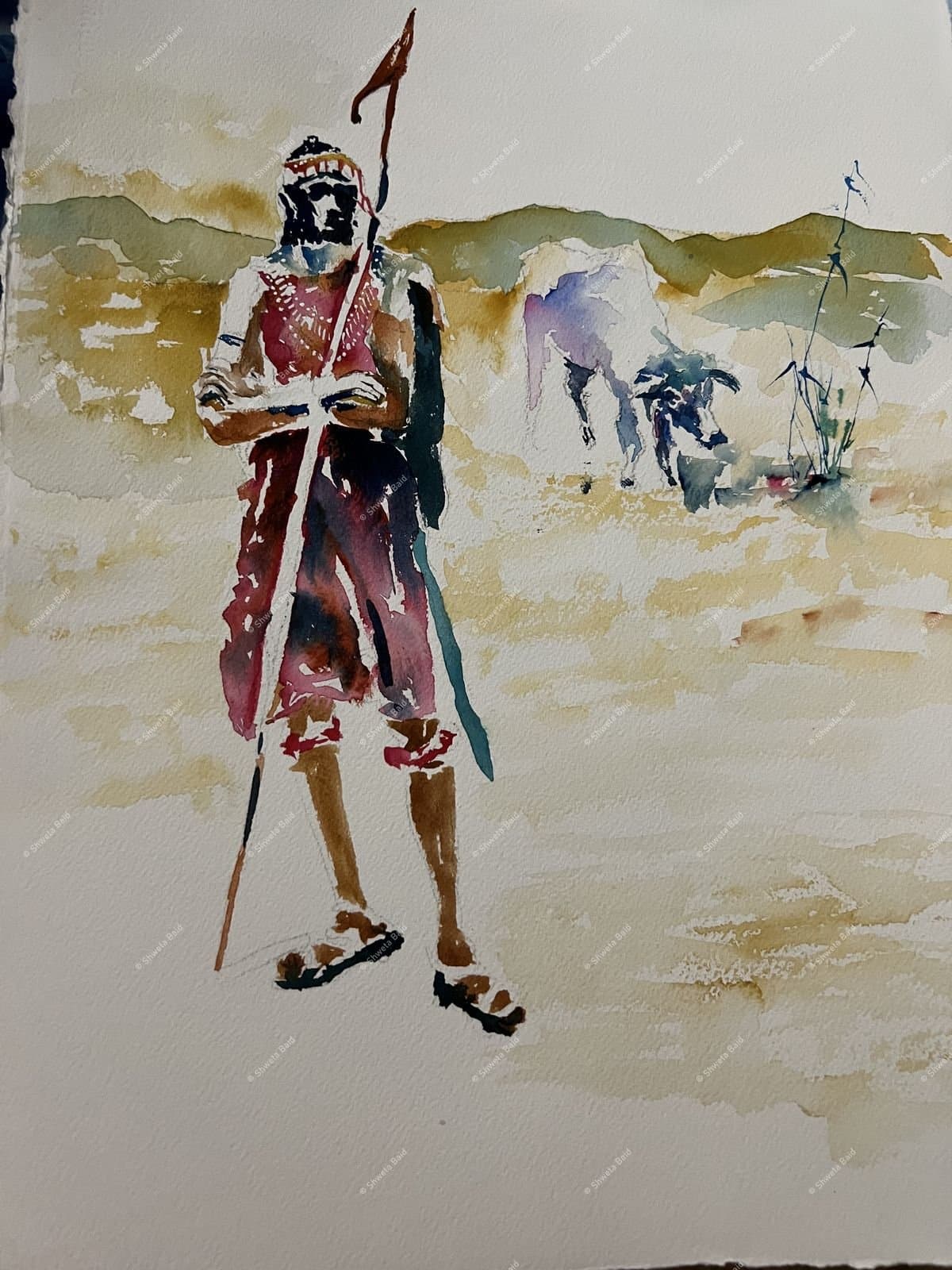 Maasai Warrior With Cattle