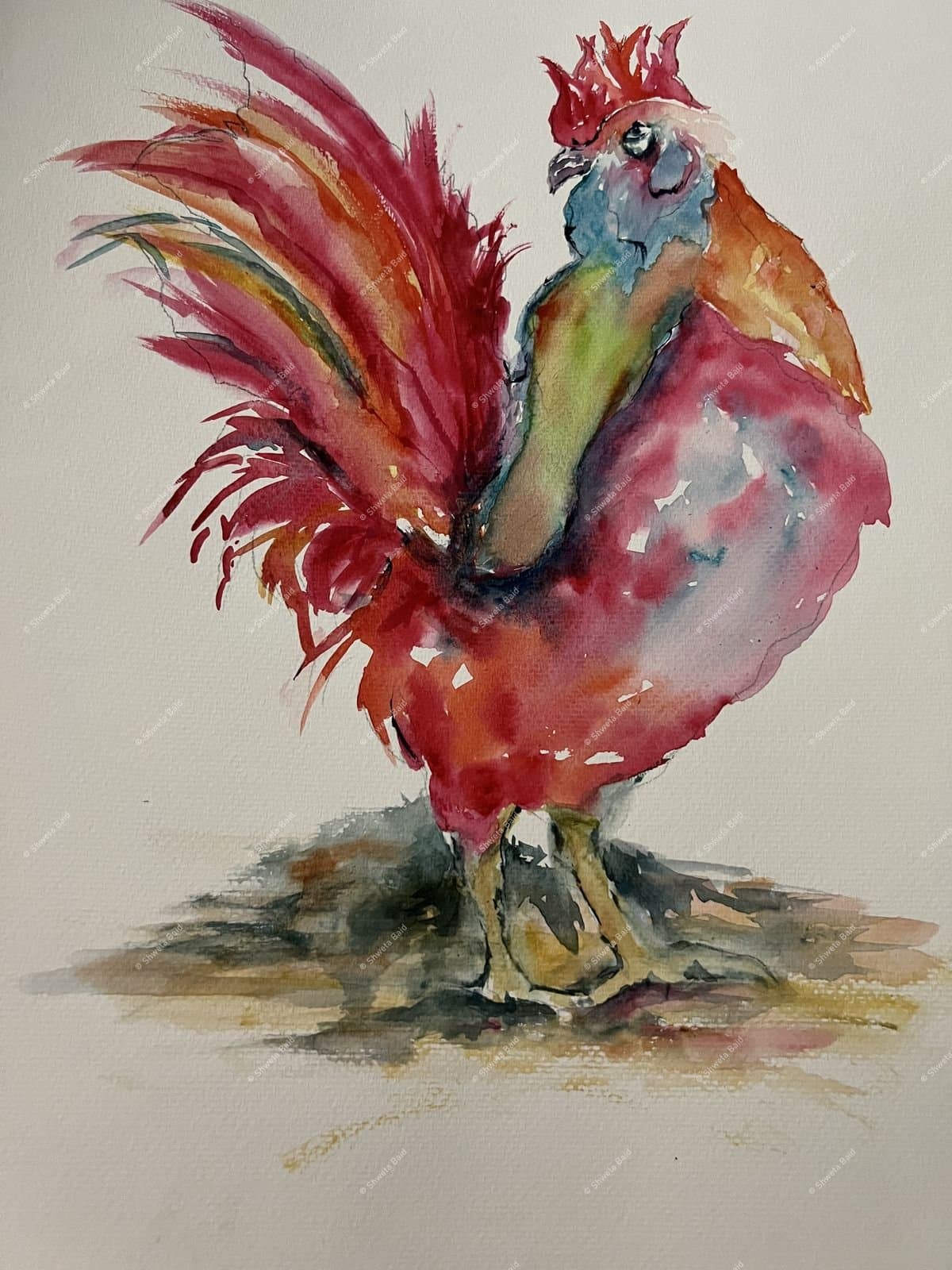 Proud Rooster Struts Bold