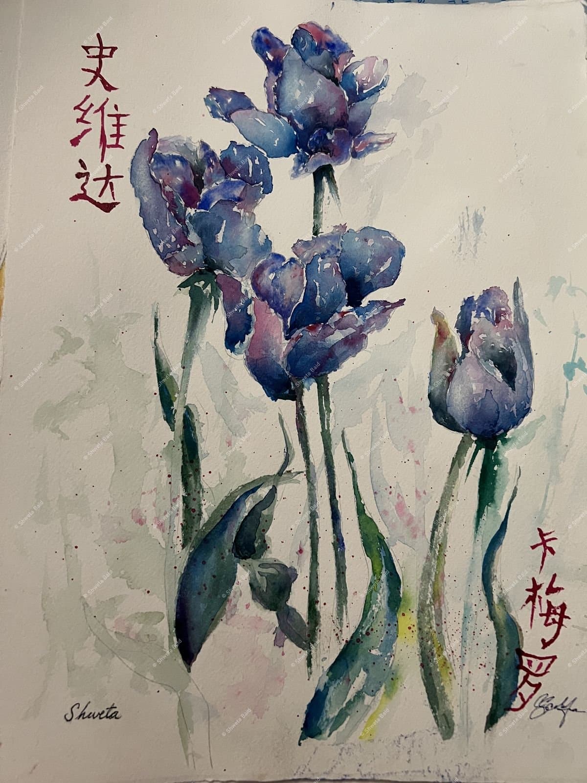 Blue Tulips in Bloom