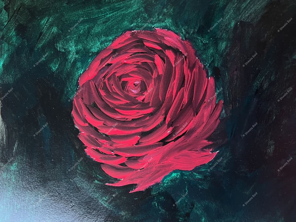 Crimson Rose Dark Bloom