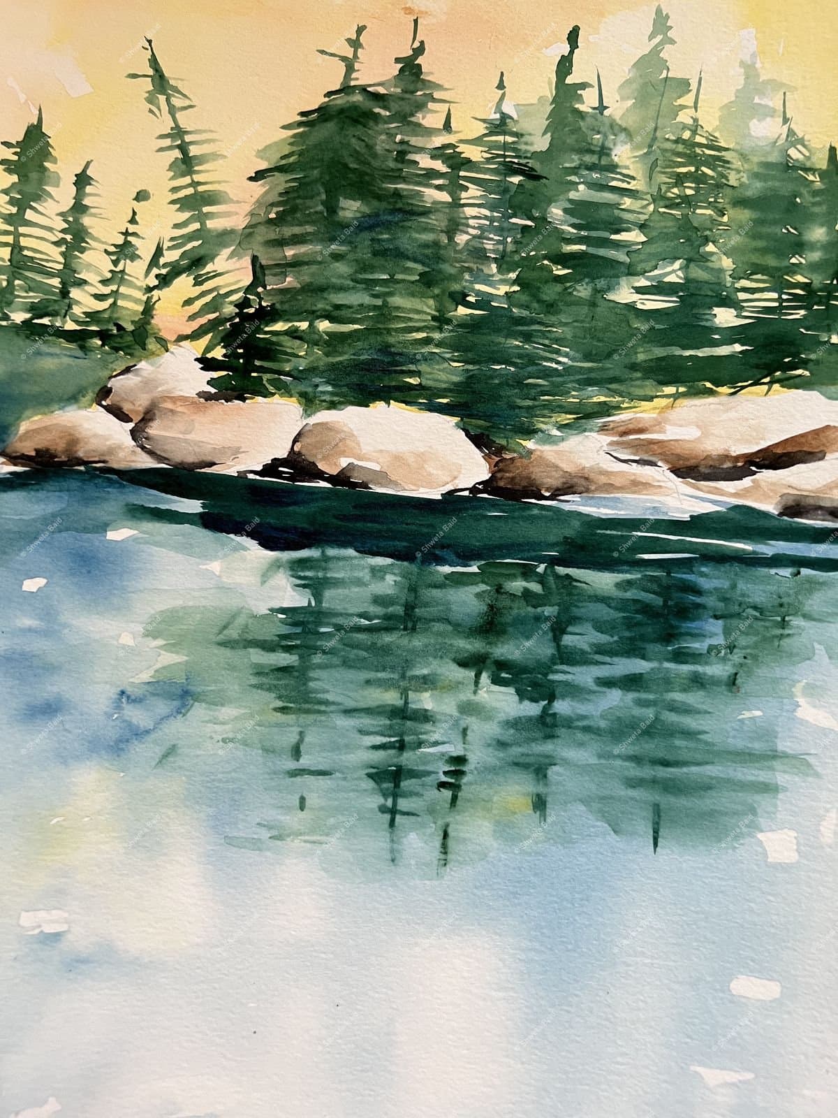 Stillwater Evergreen Reflections