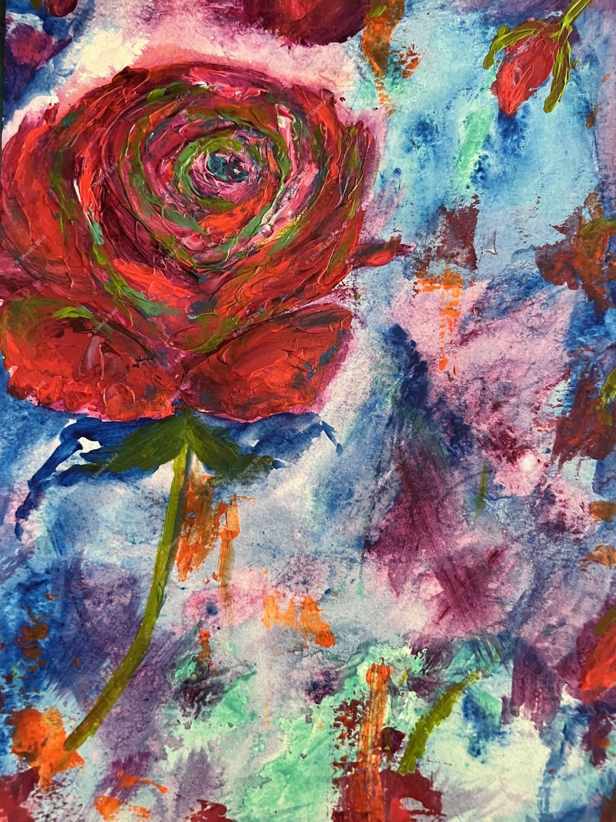 Crimson Rose in Bloom