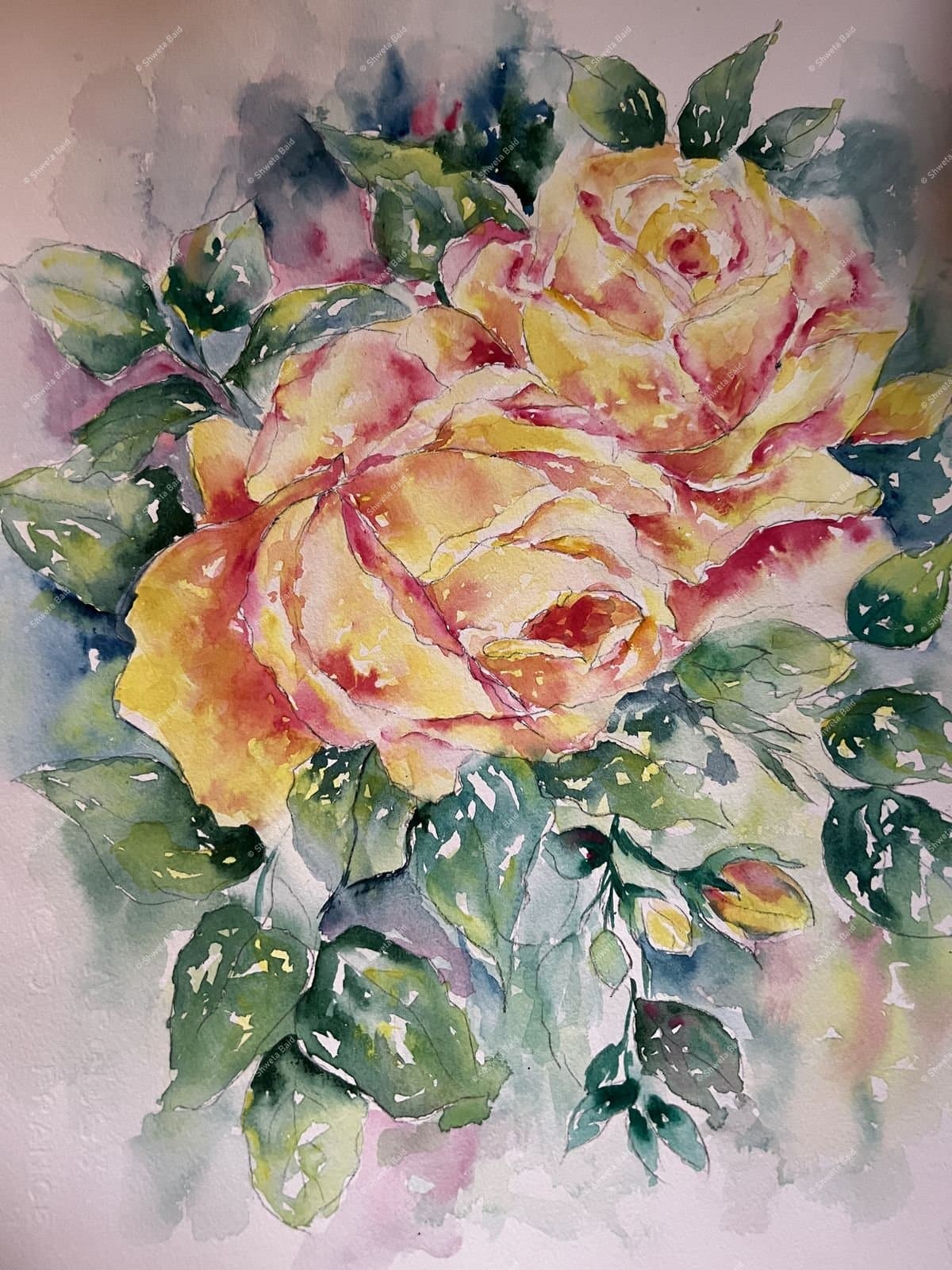 Golden Roses in Bloom