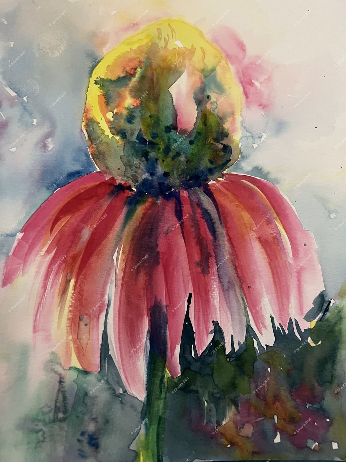 Coneflower in Crimson Bloom