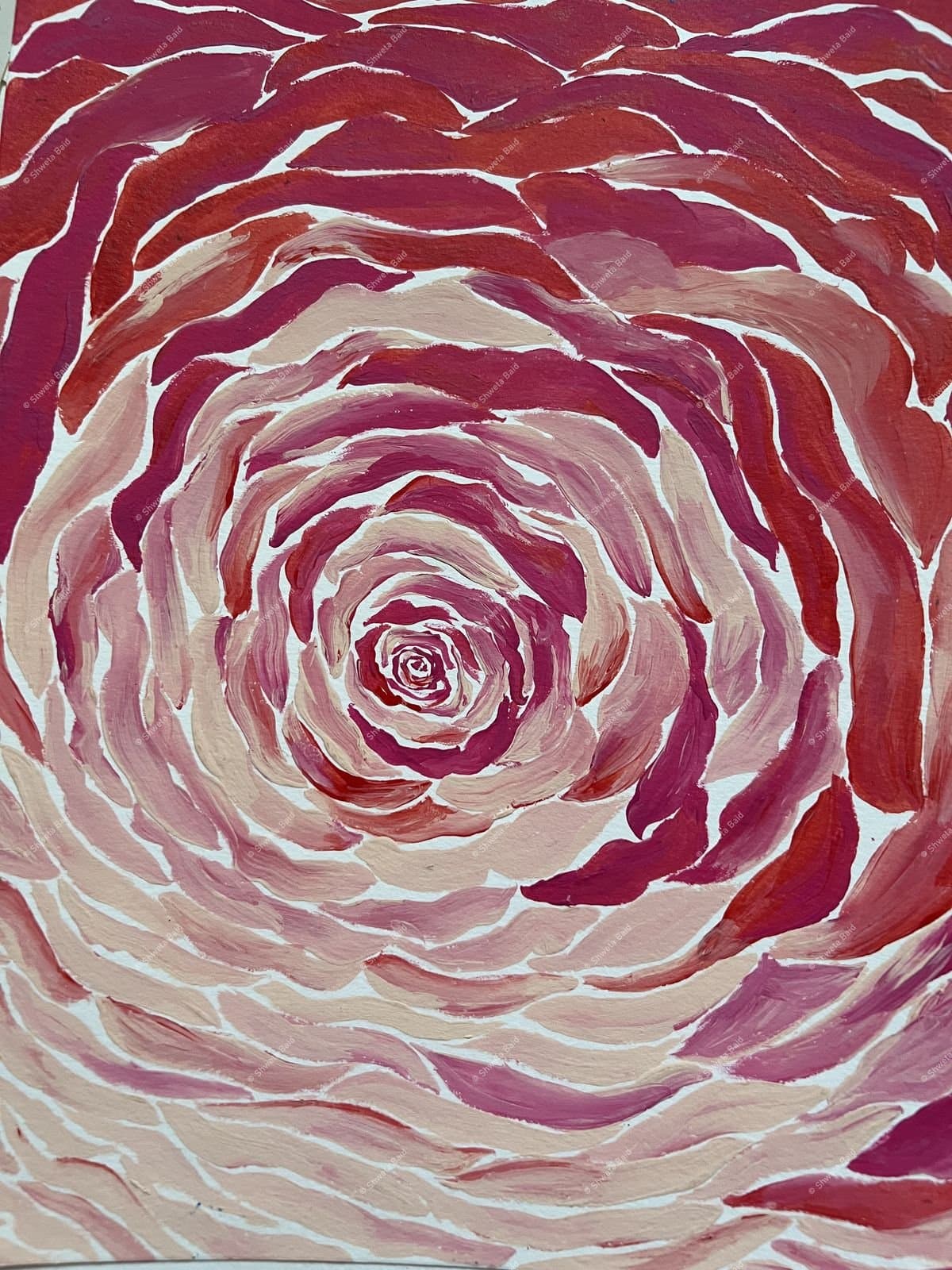 Crimson Rose Spiral Bloom