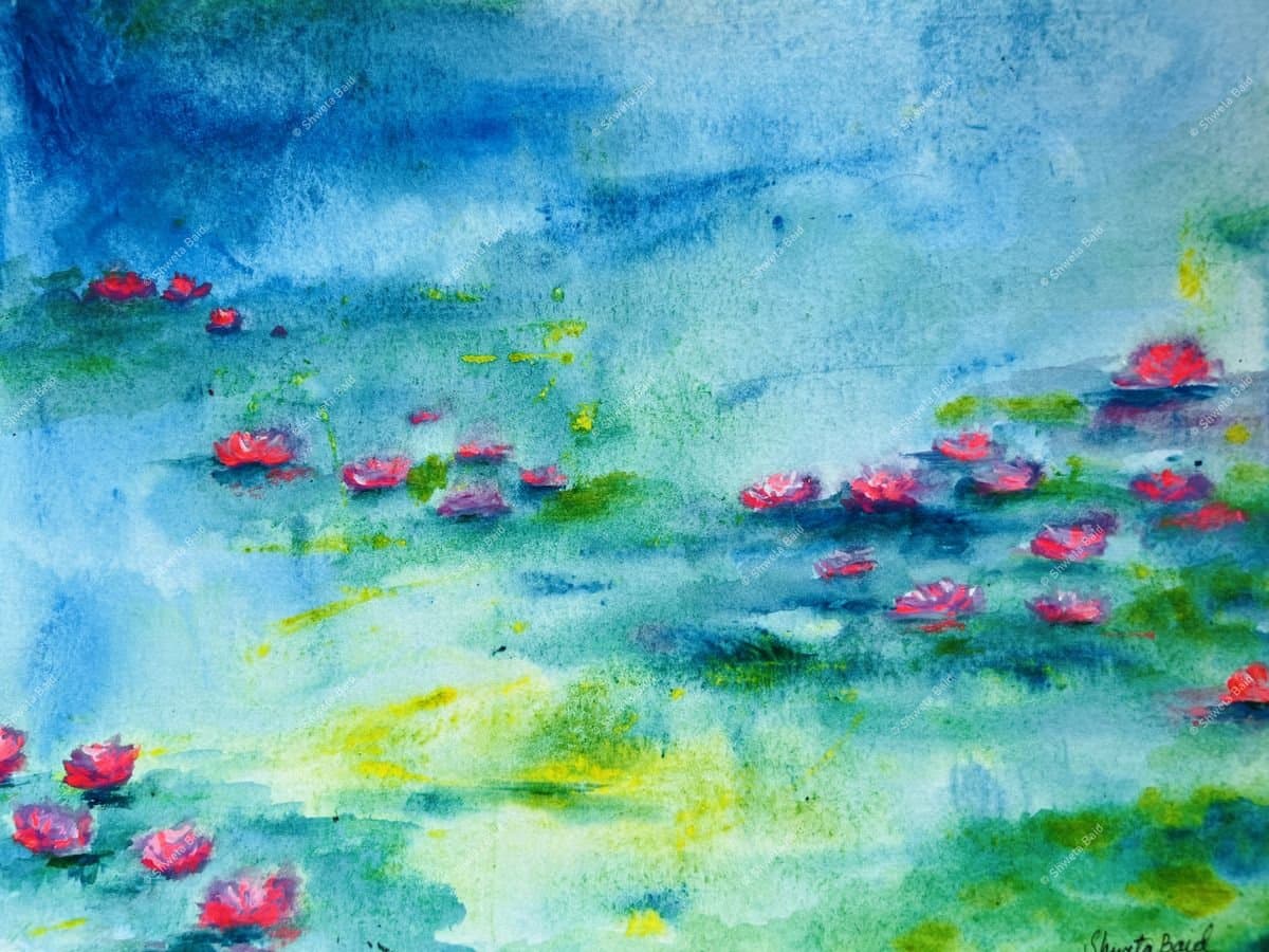 Pink Lotuses on Still Water