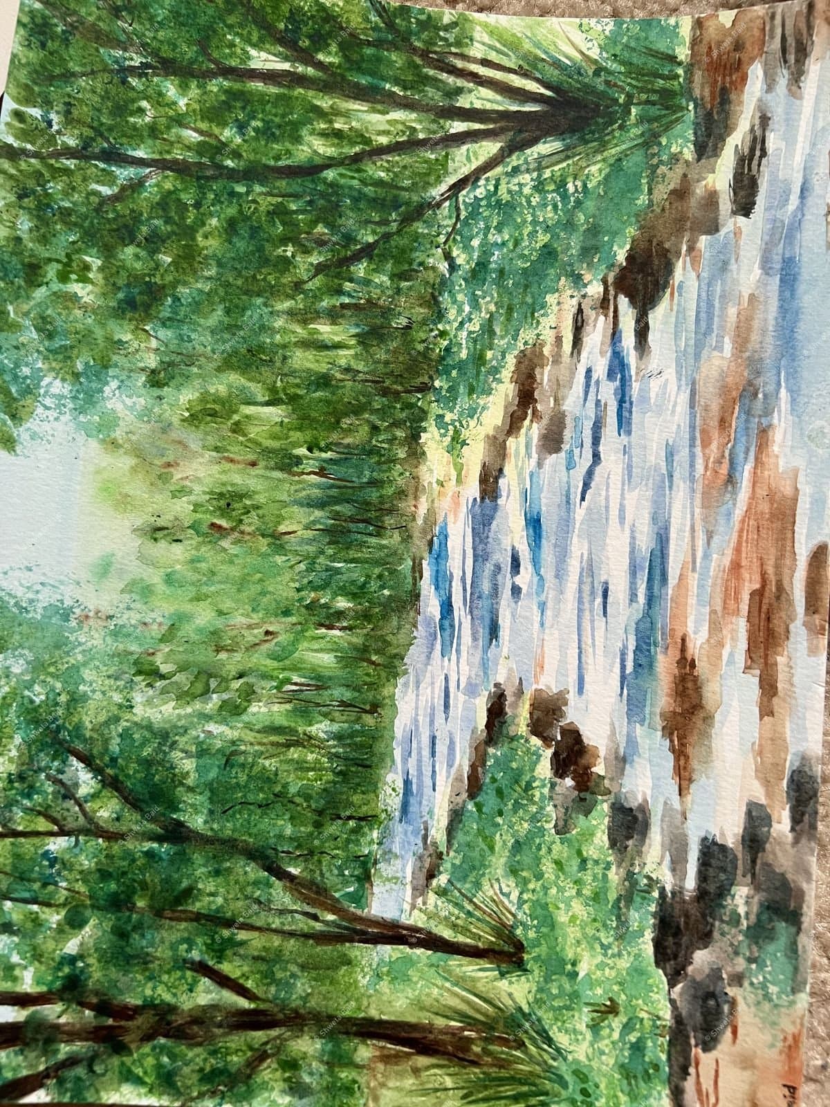 Cascading Forest Waterfall Sanctuary