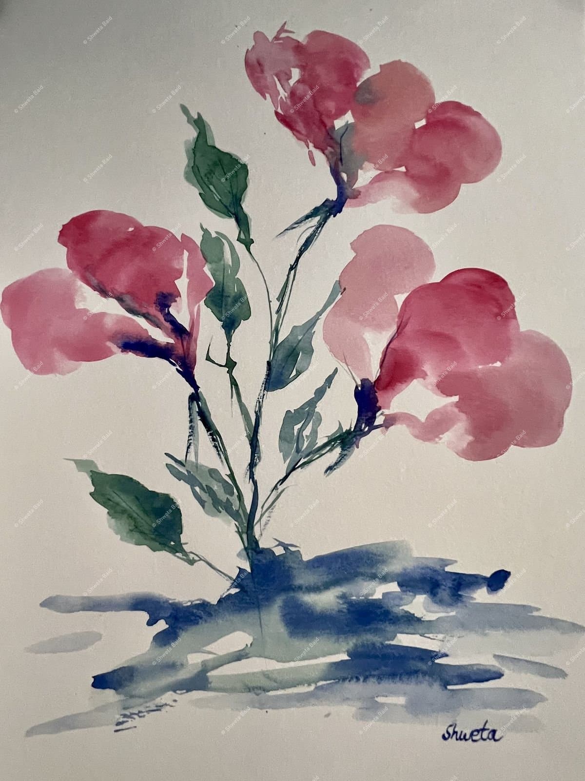 Blooming Roses in Pink