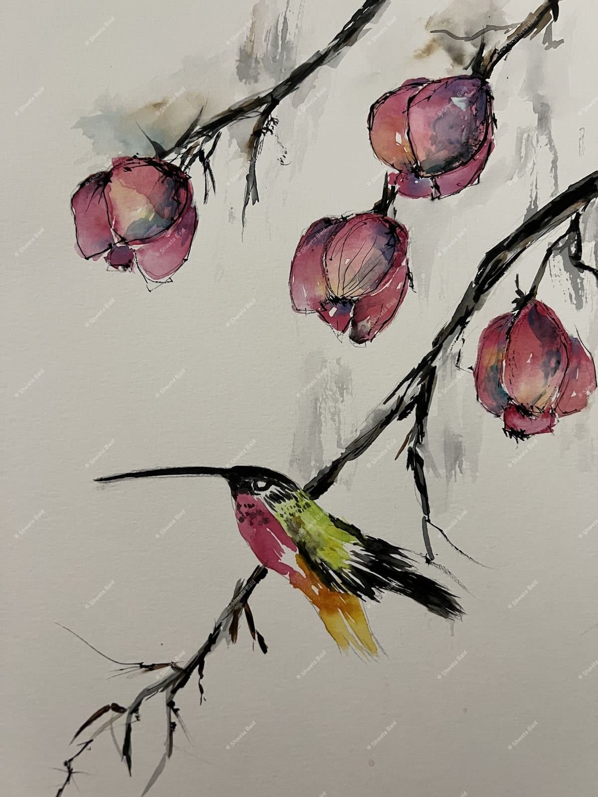 Hummingbird Among Blossoms