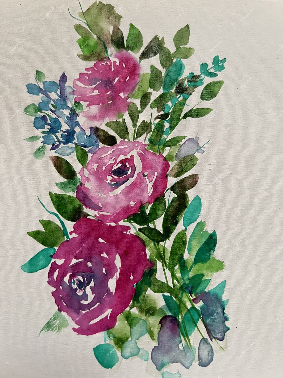 Magenta Roses in Bloom